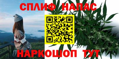 тгк Краснознаменск