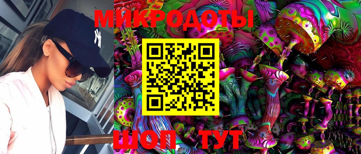 Галлюциногенные грибы Psilocybine cubensis Хасавюрт