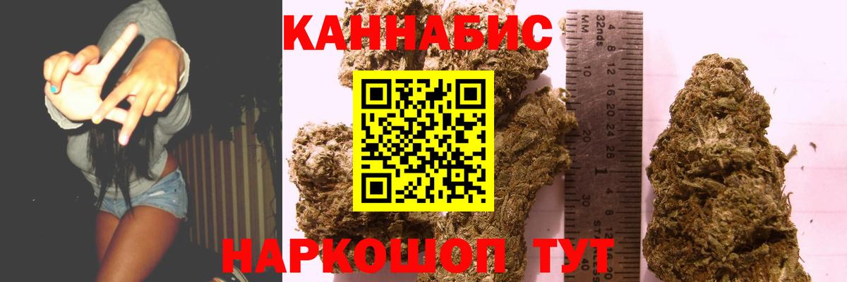 Бошки марихуана планчик  Марихуана планчик  Вход с VPN  Хасавюрт  Каннабис конопля 